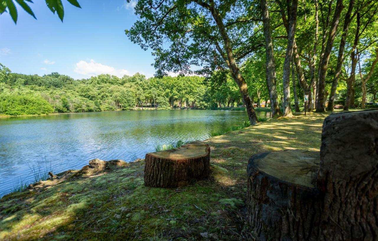 Saint-Paul-lès-Dax Camping L'Etang D'Ardy *** מראה חיצוני תמונה