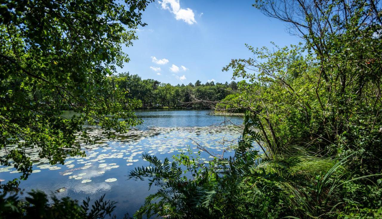 Saint-Paul-lès-Dax Camping L'Etang D'Ardy *** מראה חיצוני תמונה